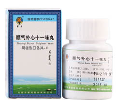 ˳������ʮһζ��(ˮ��)